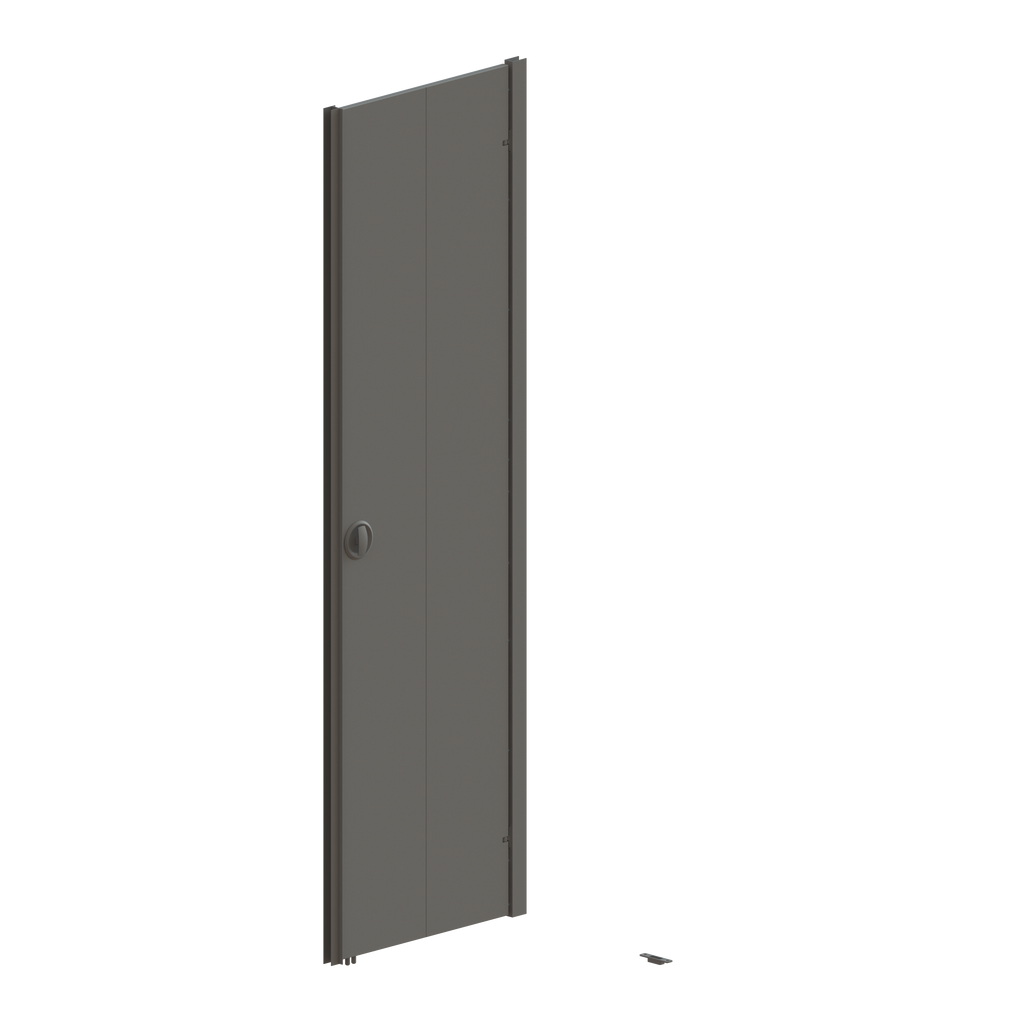 Swing Door